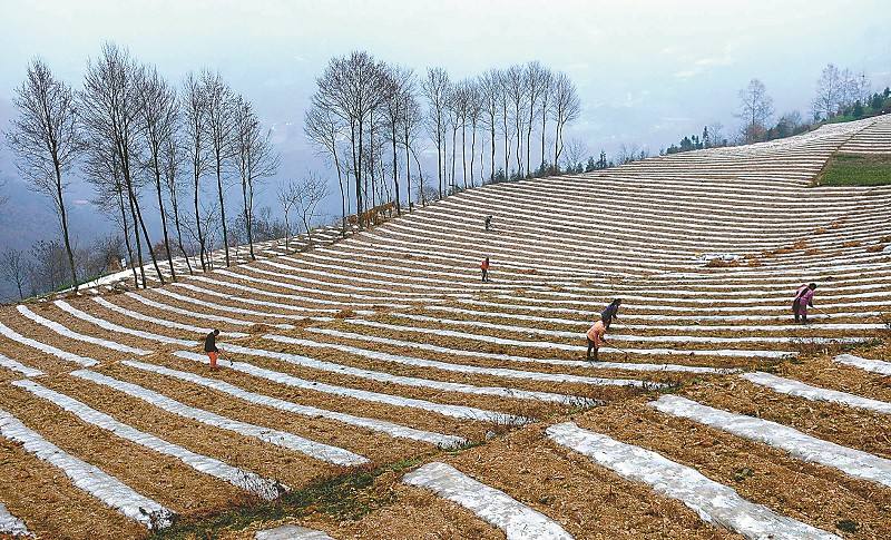 PG电子|PG电子平台官网-Pocket Games Soft